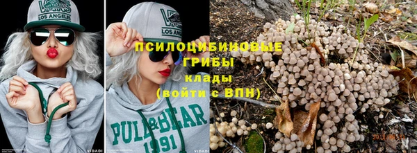 гидра Абинск