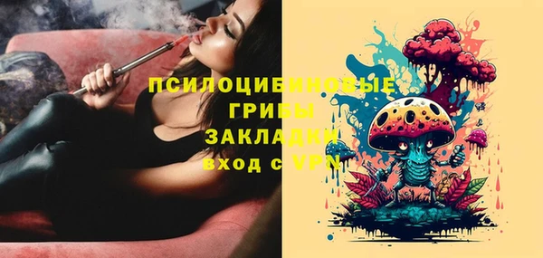 гидра Абинск