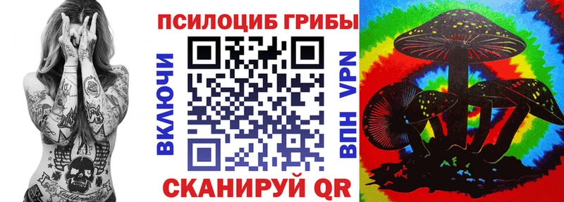 кракен как войти Морозовск Псилоцибиновые грибы мицелий