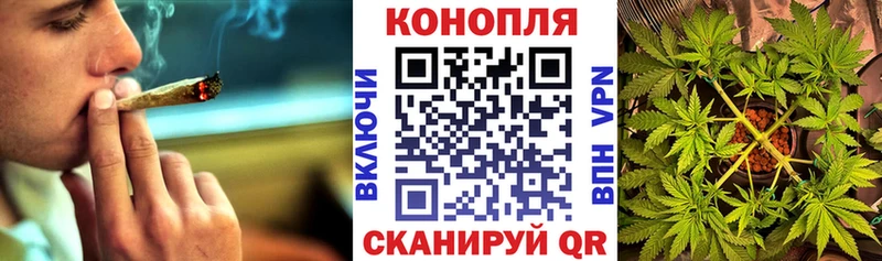 Конопля сатива  цены   Морозовск 